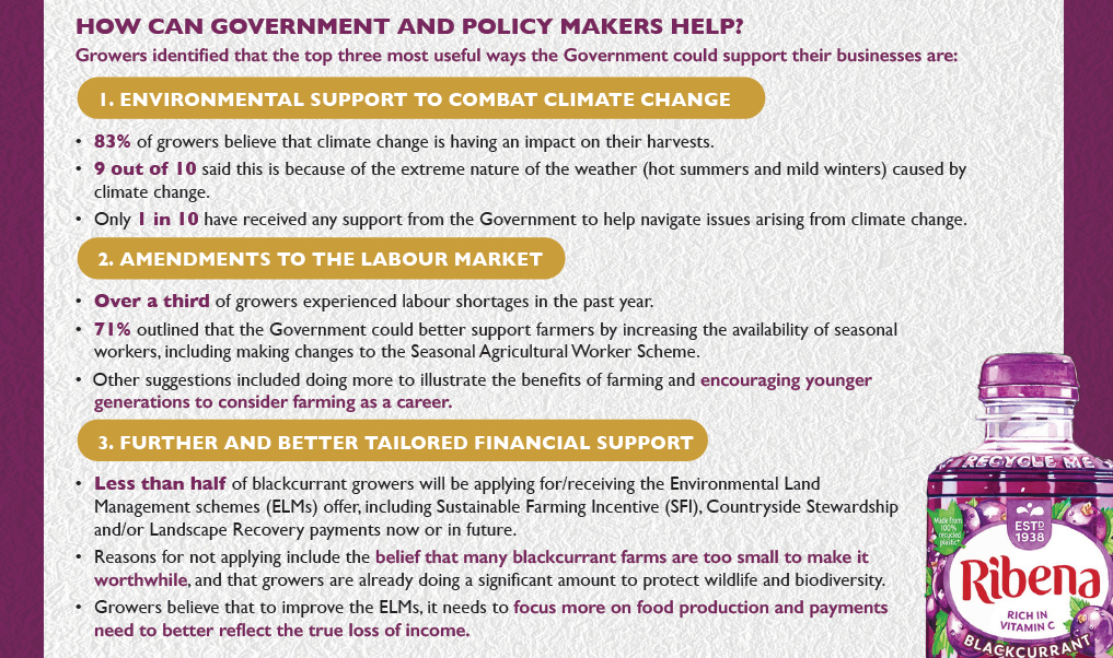 Suntory - how can policymakers help box out